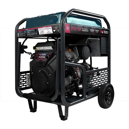 Welling & Crossley WC-P13750 AVR Petrol Generator